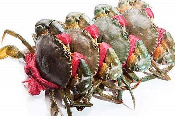 Cua biển Trà Vinh.