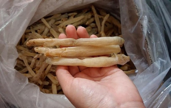 Sá sùng khô hàng chuẩn phải có mình dày, màu trắng ngà, kích thước đều nhau, sạch cát và có mùi thơm đặc trưng.