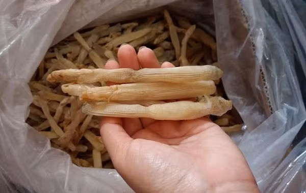 Sá sùng khô hàng chuẩn phải có mình dày, màu trắng ngà, kích thước đều nhau, sạch cát và có mùi thơm đặc trưng.