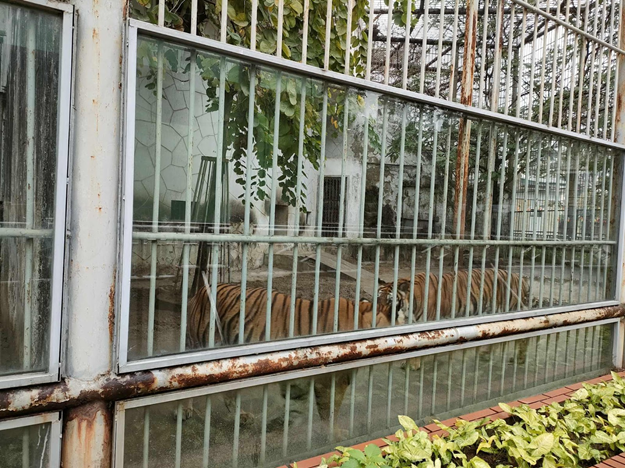 Nhiều hệ thống chuồng thú đã rất cũ kỹ nên khó thu hút được nhiều du khách tham quan.