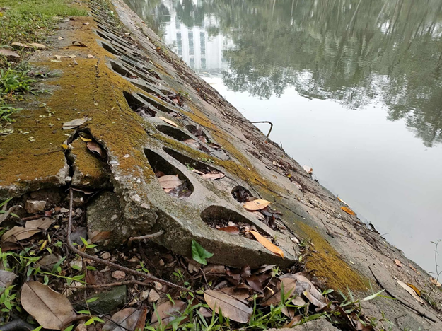 Hệ thống bờ kè quanh hồ nước bên trong công viên đã hư hỏng nhiều năm.