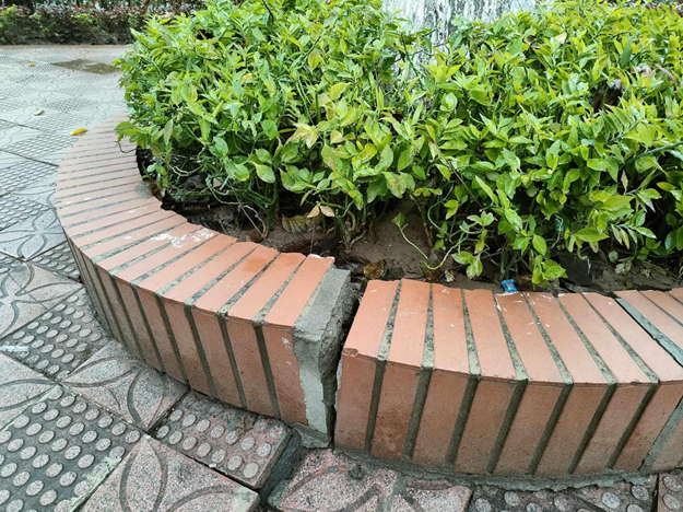 Theo ghi nhận của PV Khoa học và Đời sống/Báo Tri thức và Cuộc sống, hiện trạng công viên này tồn tại nhiều hạng mục có dấu hiệu xuống cấp, cảnh quan thiếu thẩm mỹ. Được biết, dù trải qua nhiều lần nâng cấp nhưng tình trạng xuống cấp của công viên vẫn chưa được khắc phục triệt để.