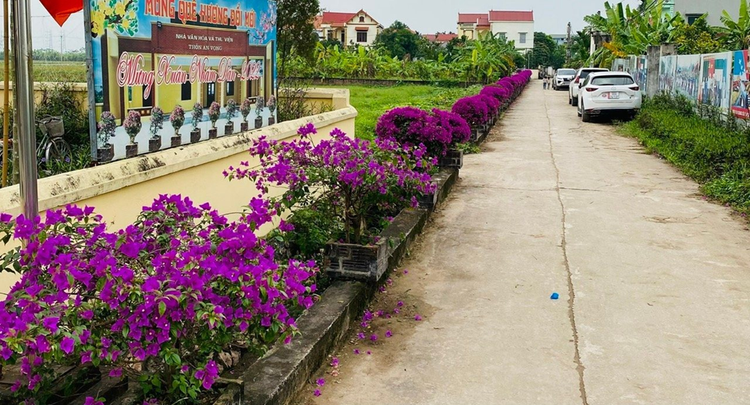 Con đường được phủ kín cây xanh, hoa nở rực rỡ.