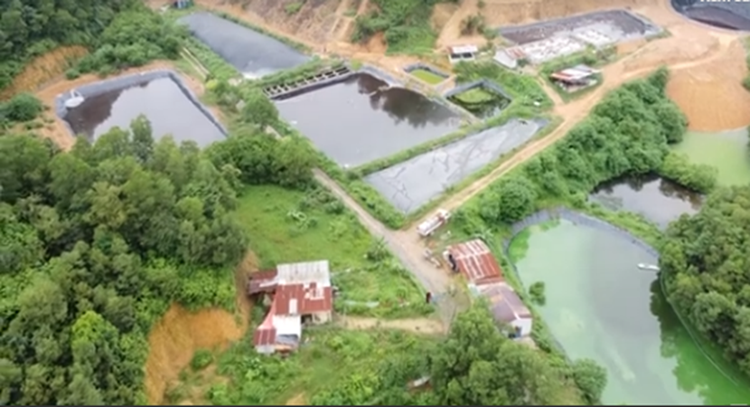 Nước các ao đều màu đen, bốc mùi hôi thối.