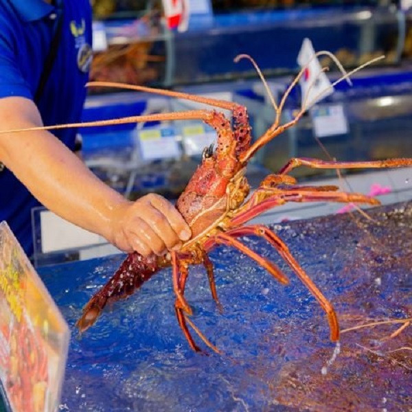 Người tiêu dùng nên lựa chọn những nơi bán uy tín để có được hải sản tươi sống, tránh hàng đông lạnh