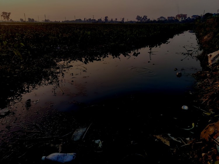 Nước thải từ CCN Phú Lâm.