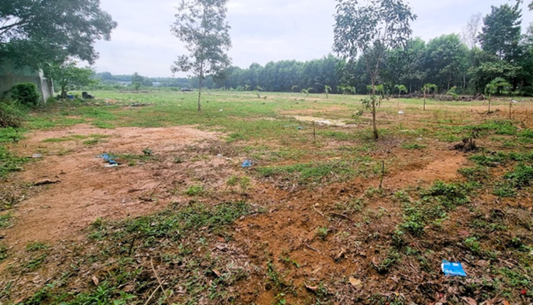 Trong năm 2024, Đồng Nai sẽ thu hồi khoảng 3.700 ha đất nông nghiệp để chuyển đổi mục đích sử dụng đất và thực hiện nhiều dự án. (Ảnh: Xuân Thọ)