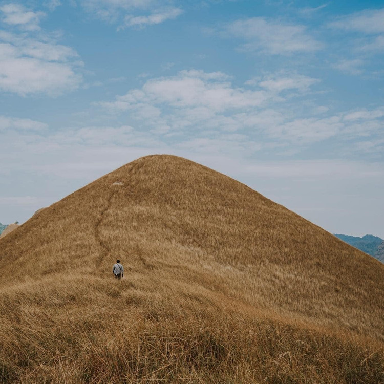 Đồi cỏ cháy rực chân trời ở Vinh Quý. Nguồn ảnh: Internet.