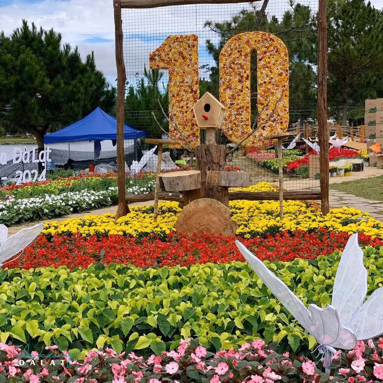 Festival hoa Đà Lạt 2024 kéo dài nguyên tháng 12 với nhiều hoạt động đặc sắc (Ảnh Amazing Đà Lạt).