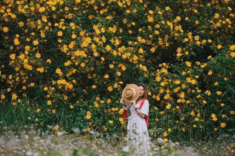 Đến Đà Lạt , không khó để du khách check-in những bức ảnh xịn sò với hoa (Ảnh: Người Đà Lạt).