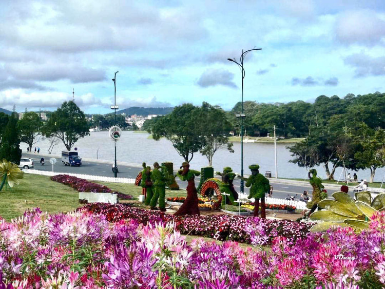 Đường phố Đà Lạt sặc sỡ hơn với nhiều công trình, tiêu cảnh ngập tràn sắc hoa (Ảnh: Internet).