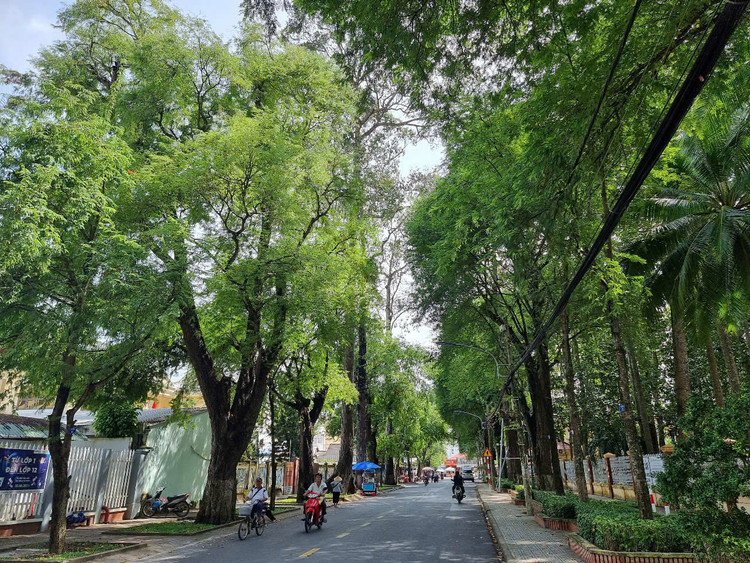 Với gần 14.000 cây xanh, tại TP Trà Vinh không khó để hưởng thụ không khí trong lành. Ảnh: Huyền Hương.