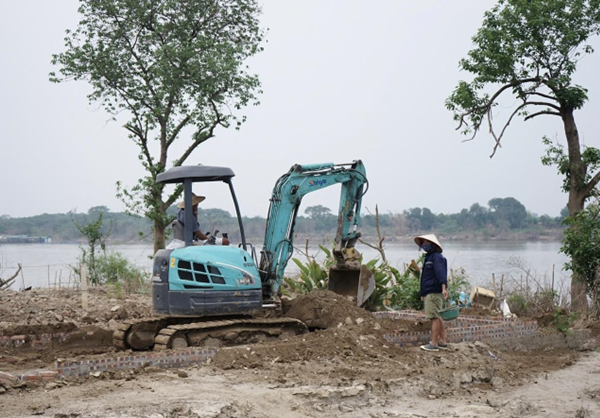 Anh Nguyễn Văn Bề (Phú Thượng, Tây Hồ) chia sẻ, nhà anh cũng mất khoảng 600 gốc đào, giờ đang phải cải tạo lại đất, anh thuê máy xúc với giá 400.000 đồng/h.