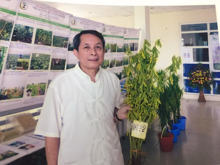 Giống đậu tương mới ĐT22 thích hợp cho vụ hè