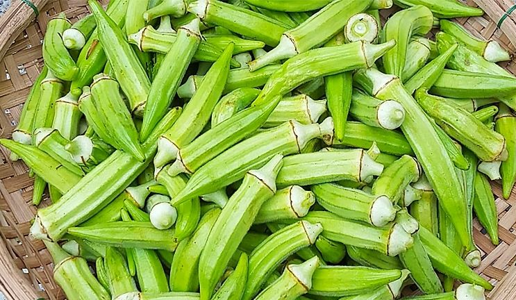 Đậu bắp là loại thực phẩm giàu dinh dưỡng, nhiều lợi ích đối với sức khỏe. Ảnh minh hoạ.