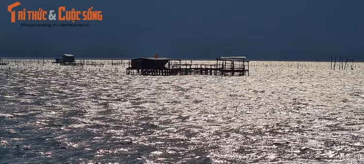 Nếu có cơ hội được ngắm hoàng hôn tại đây, bạn nhất định phải trầm trồ trước sự nên thơ hữu tình của vùng đất xứ Huế.