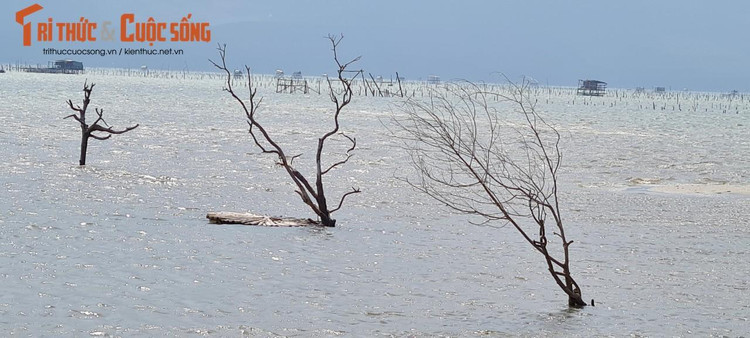 Nơi đây cũng được mệnh danh là “Tuyệt tình cốc” của xứ Huế.