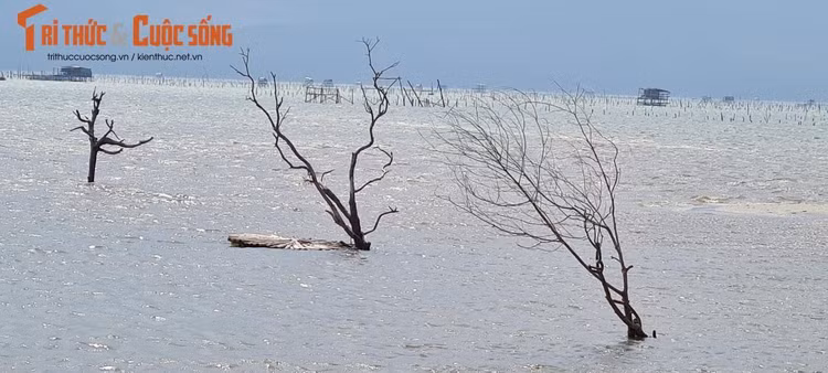 Nơi đây cũng được mệnh danh là “Tuyệt tình cốc” của xứ Huế.