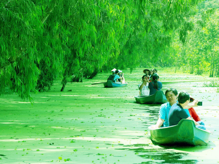 Màu xanh mê hoặc của rừng tràm Trà Sư mùa nước nổi. Nguồn ảnh: M.T/Báo Tin tức