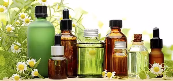 Đa dạng chủng loại lẫn giá cả. Đa dạng chủng loại lẫn giá cả.