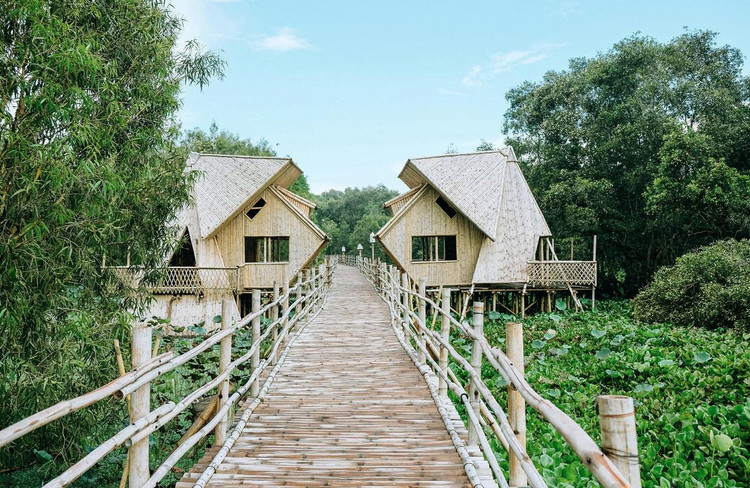 Cây cầu tre xuyên rừng tràm Trà Sư phục vụ du khách. Nguồn ảnh: Thám hiểm Mekong