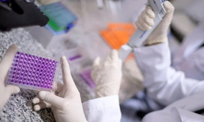 Các nhà khoa học nghiên cứu vắc xin Calixcoca. Ảnh: AFP