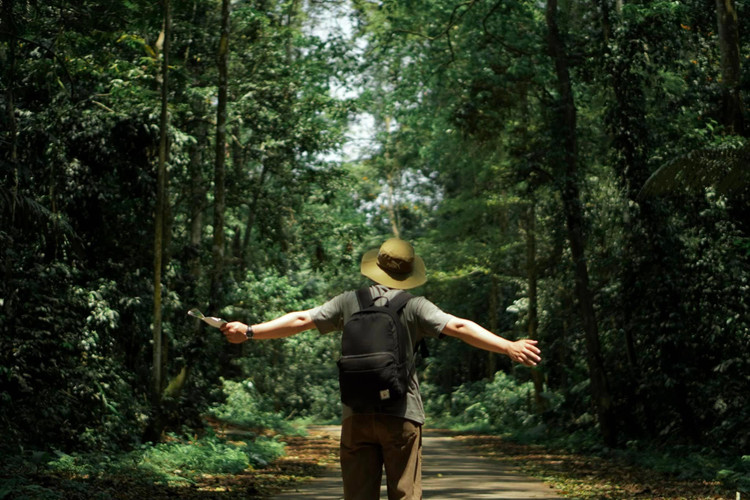 Tận hưởng không khí trong lành ở Cúc Phương - Ảnh Huy Hoàng