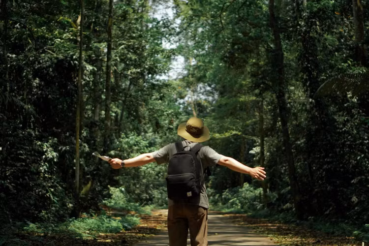 Tận hưởng không khí trong lành ở Cúc Phương - Ảnh Huy Hoàng