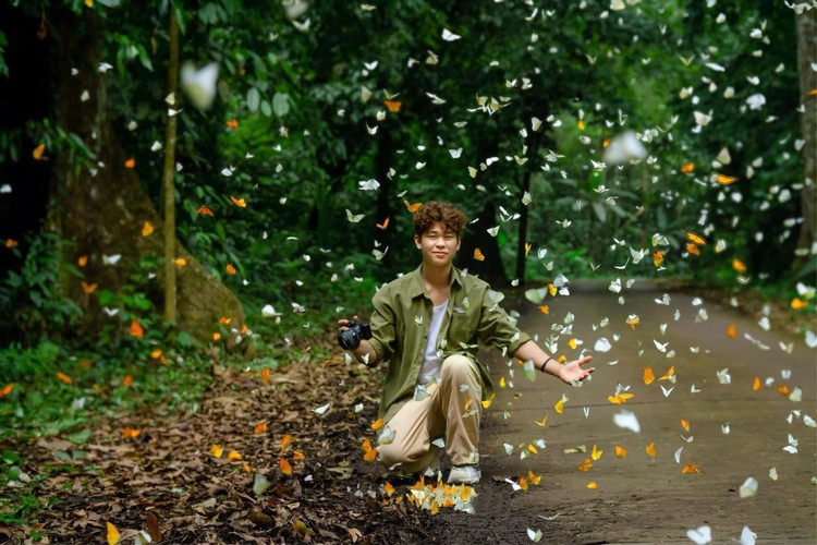 Triệu cánh bướm rập rờn &quot;níu chân&quot; du khách ở rừng già Cúc Phương - Ảnh Tuấn Anh