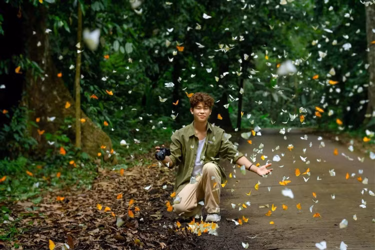 Triệu cánh bướm rập rờn "níu chân" du khách ở rừng già Cúc Phương - Ảnh Tuấn Anh