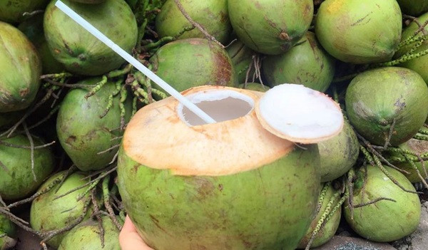 Dừa tươi tăng giá gấp đôi vì nắng nóng. Ảnh minh họa