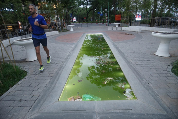 Tiểu cảnh tại ngã 3 phố Trấn Vũ – đường Thanh Niên nước rêu xanh, ngập rác và túi nilon.