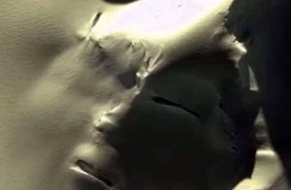 Khuôn mặt người ngoài hành tinh được chụp bởi Google Earth.