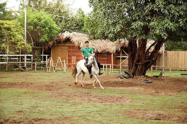 Cưỡi ngựa không đòi hỏi người điều khiển ngựa chạy nhanh (đua ngựa), mà phải biết cách điều khiển ngựa di chuyển theo những động tác chính xác và linh hoạt theo ý của mình. Cưỡi ngựa không đòi hỏi người điều khiển ngựa chạy nhanh (đua ngựa), mà phải biết cách điều khiển ngựa di chuyển theo những động tác chính xác và linh hoạt theo ý của mình.