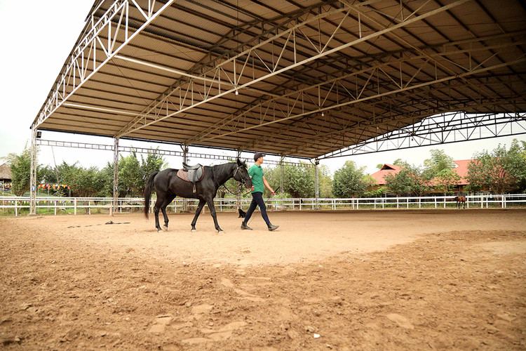 Một trong những nguyên tắc nữa là dắt ngựa trước khi tập luyện để biết được “tính khí” của vật nuôi. Một trong những nguyên tắc nữa là dắt ngựa trước khi tập luyện để biết được “tính khí” của vật nuôi.