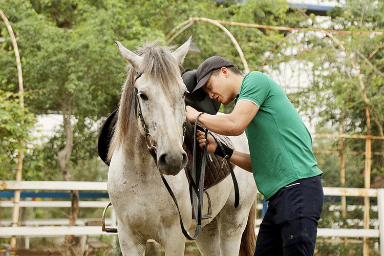 ...và yên ngựa là những việc rất cần thiết, đảm bảo an toàn cho người cưỡi ngựa.. ...và yên ngựa là những việc rất cần thiết, đảm bảo an toàn cho người cưỡi ngựa..