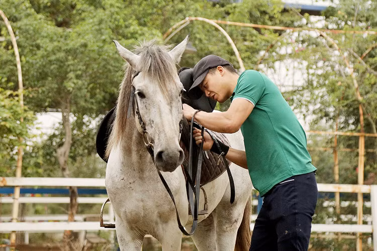...và yên ngựa là những việc rất cần thiết, đảm bảo an toàn cho người cưỡi ngựa..