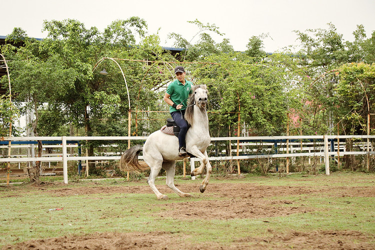 Bộ môn cưỡi ngựa nguy hiểm, đòi hỏi người chơi cần có sự can đảm. Ngựa rất thông minh, cảm nhận từ tay cương của người cưỡi. Bộ môn cưỡi ngựa nguy hiểm, đòi hỏi người chơi cần có sự can đảm. Ngựa rất thông minh, cảm nhận từ tay cương của người cưỡi.