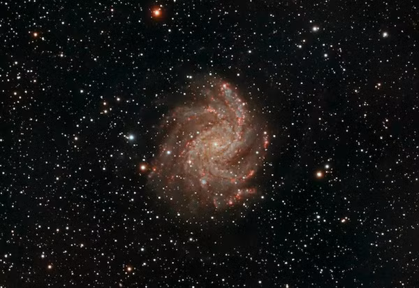 Ảnh minh họa. (NDTV)