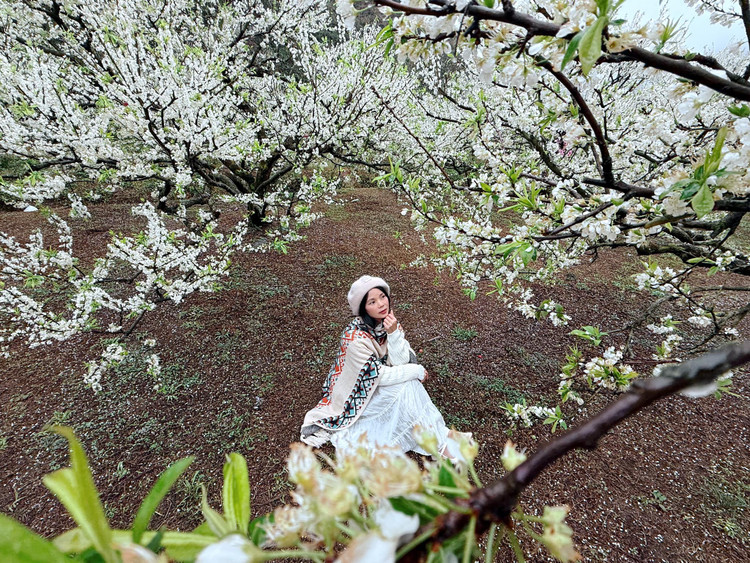 Chị Lê Quỳnh Tiên check-in tại vườn mận Mộc Châu đầu năm 2025