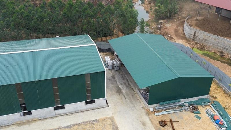 Hoạt động gia công, tái chế chất thải rắn công nghiệp thông thường của Công ty TNHH Đại Lục Phát có phát sinh chất thải nguy hại nhưng doanh nghiệp này không có giấy phép môi trường (Ảnh TTTĐ)