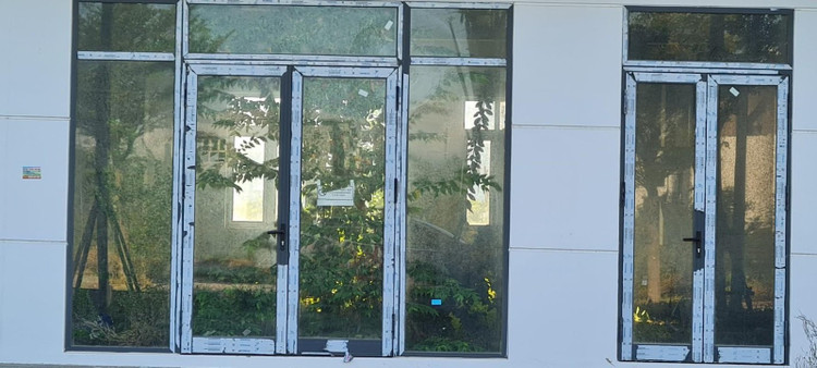 Đằng sau lớp cửa kính hào nhoáng, biệt thự biến thành sân vườn với đủ loại cây cao quá đầu người hay dây leo, cỏ dại...