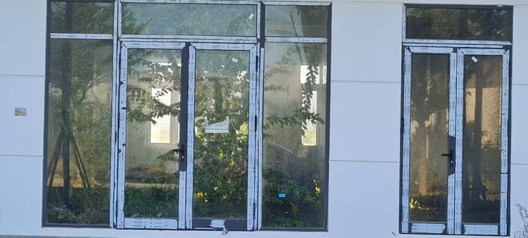 Đằng sau lớp cửa kính hào nhoáng, biệt thự biến thành sân vườn với đủ loại cây cao quá đầu người hay dây leo, cỏ dại...