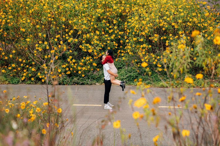 Mùa hoa dã quỳ thu hút du khách đến chụp ảnh. Nguồn ảnh: Đồng Ngô