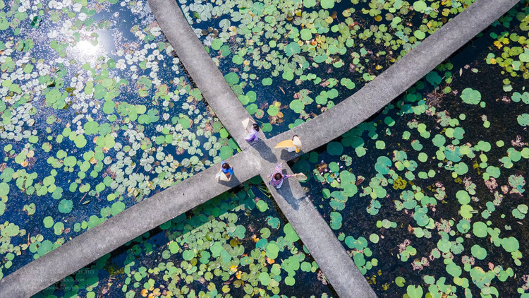 Cầu chữ X, điểm check-in chất lượng không thể bỏ qua của du khách (Ảnh: Page Du lịch làng nổi Tân Lập).