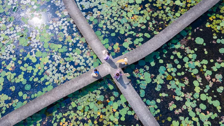 Cầu chữ X, điểm check-in chất lượng không thể bỏ qua của du khách (Ảnh: Page Du lịch làng nổi Tân Lập).