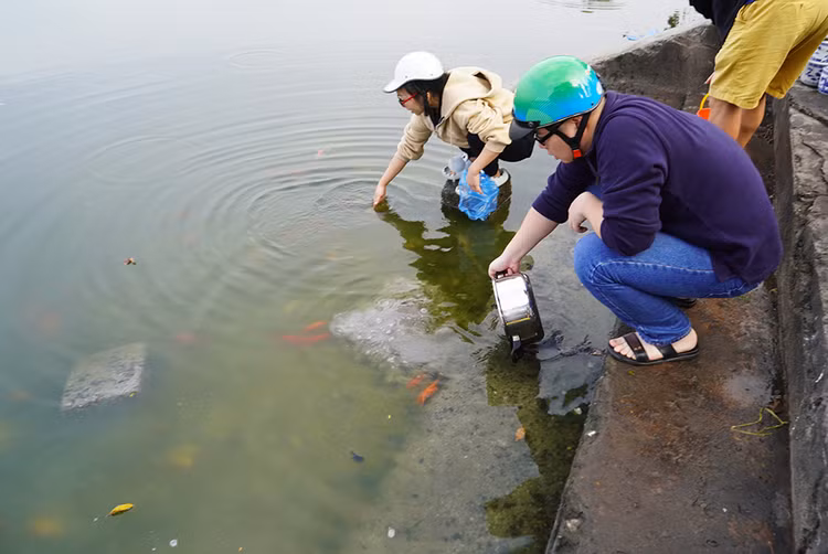 Tuy nhiên, tại khu vực thả cá có rất nhiều tro nổi lên mỗi khi người dân thả cá xuống.