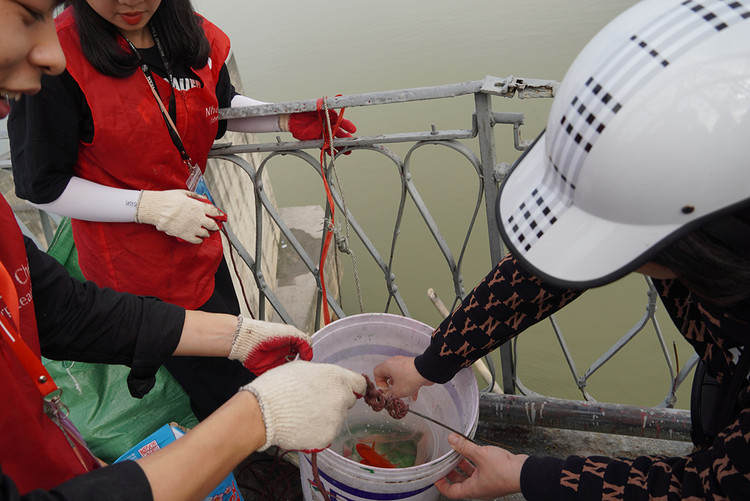 Để thả cá xuống sông, các bạn trẻ đã dùng một chiếc xô nhựa đựng cá.