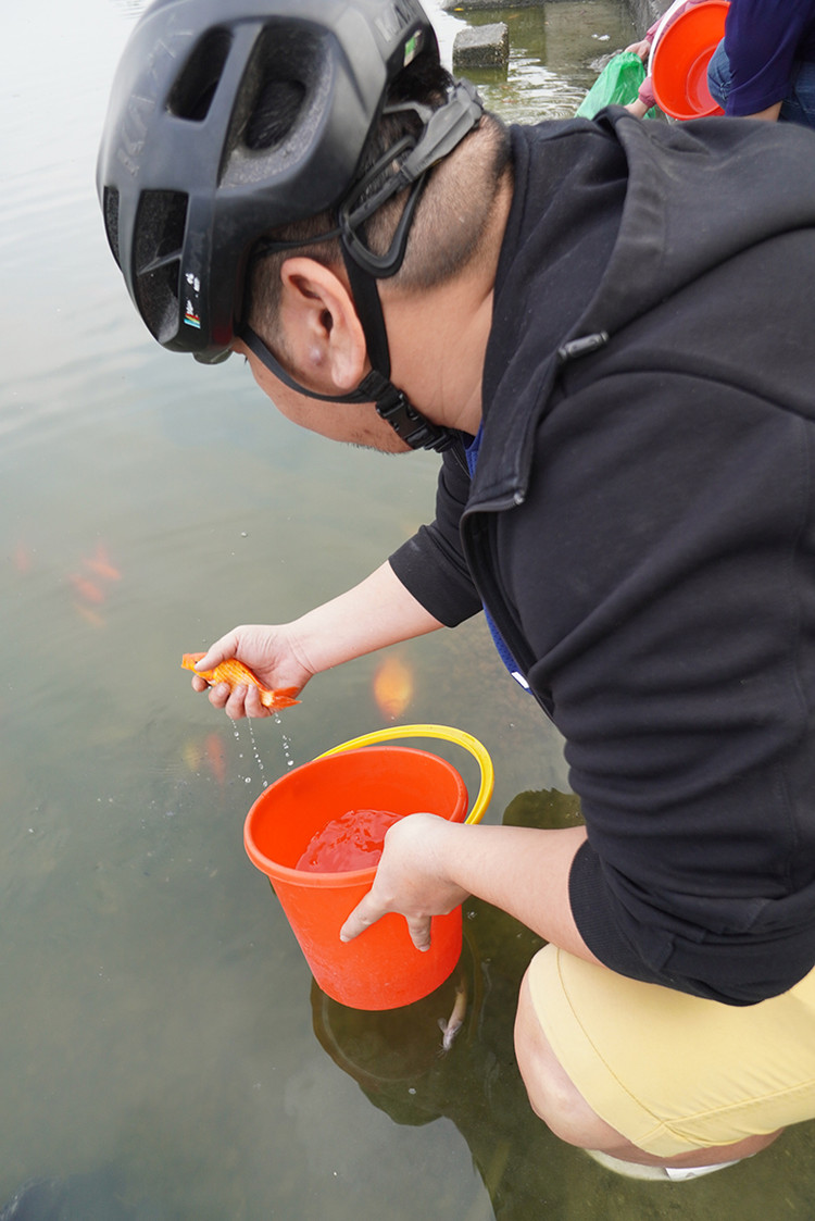 Khi thả cá, phải đặt nhẹ nhàng để cá bơi ra.