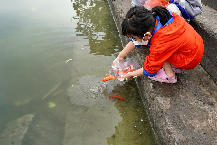 Bé gái để cá trong hộp nhựa mang ra hồ thả.
